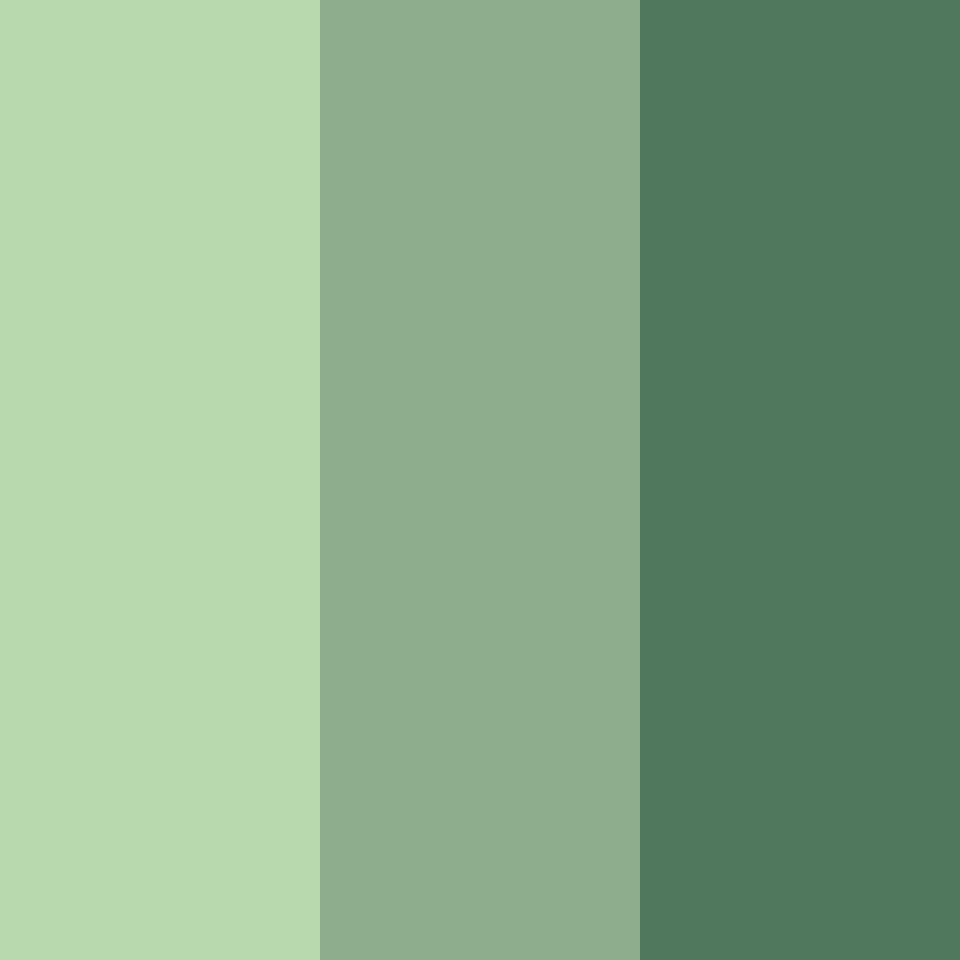 Download whispering forest color palette PNG image (square)
