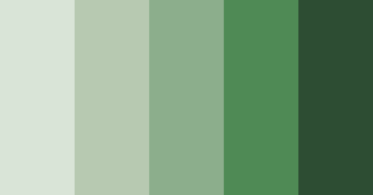 Download sage shades color palette PNG image (landscape)