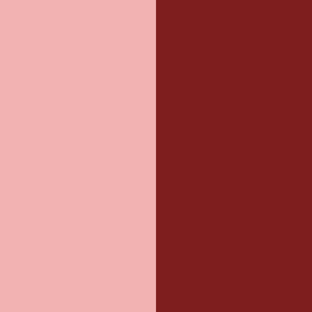 Download bright red color palette PNG image (square)