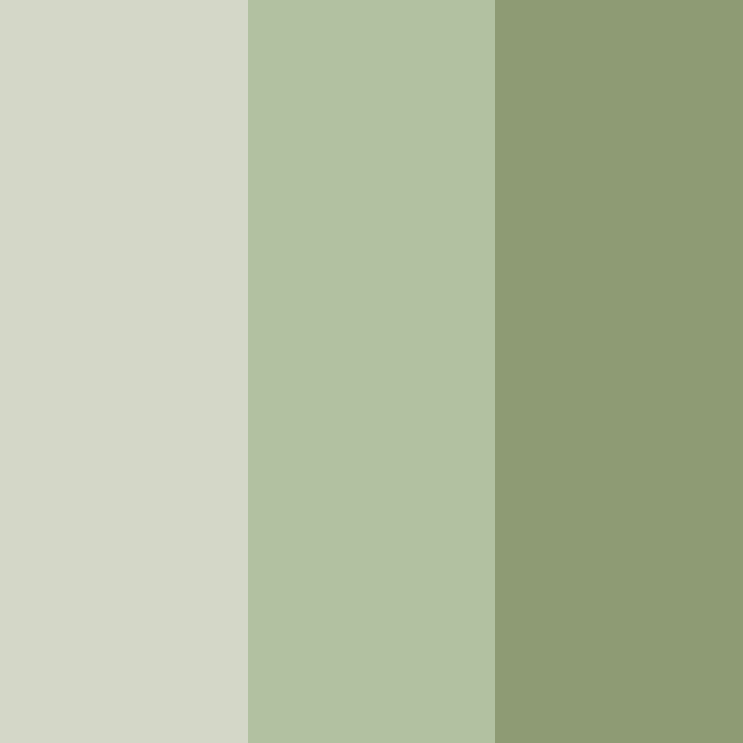 Download muted green color palette PNG image (square)