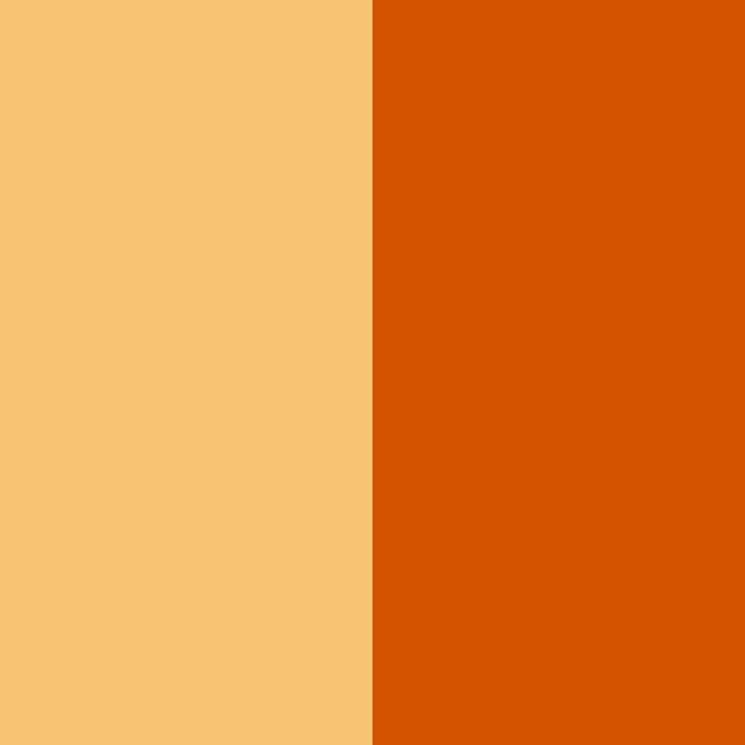 Download orange dinner color palette PNG image (square)