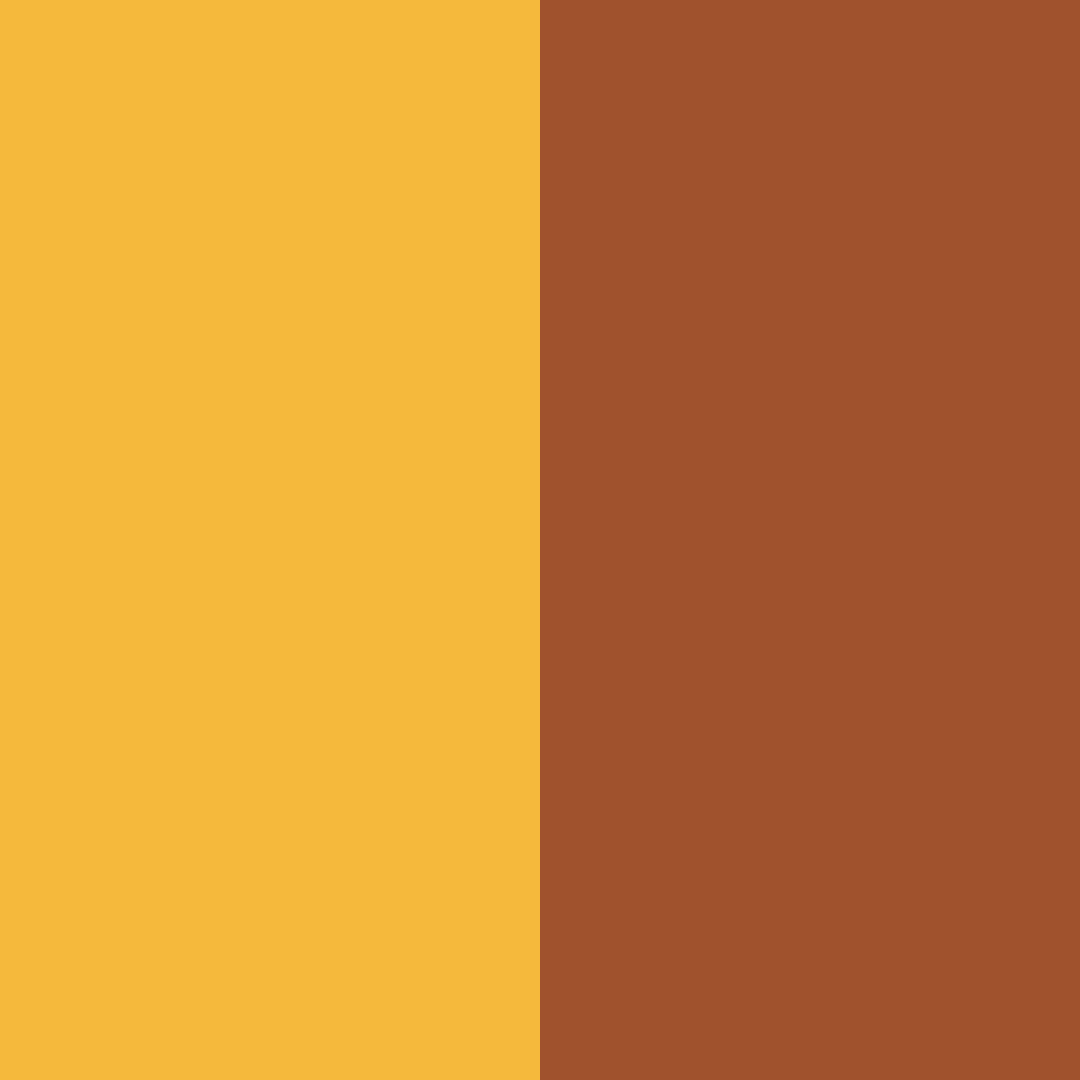 Download orange snack color palette PNG image (square)