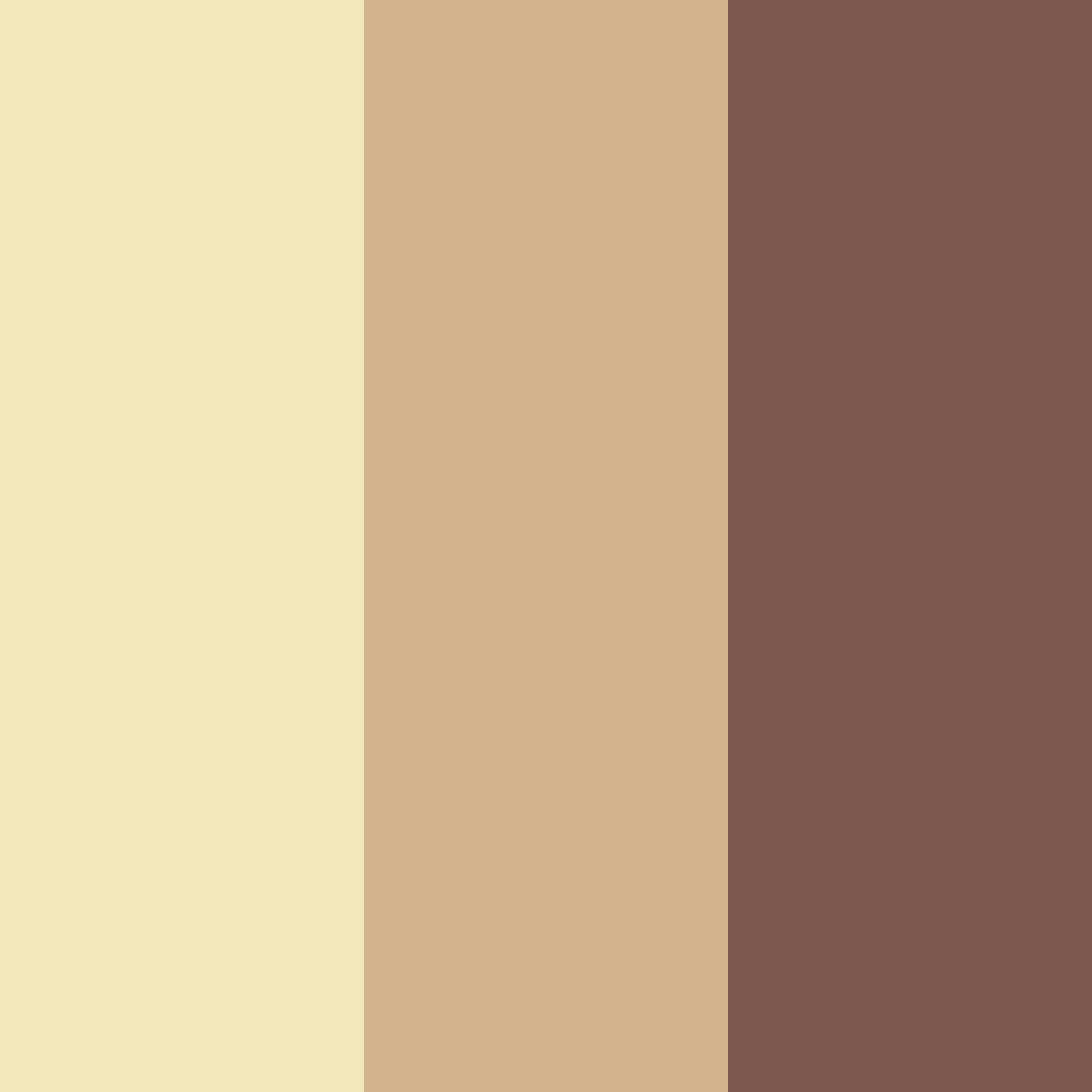 Download earthy sunrise color palette PNG image (square)