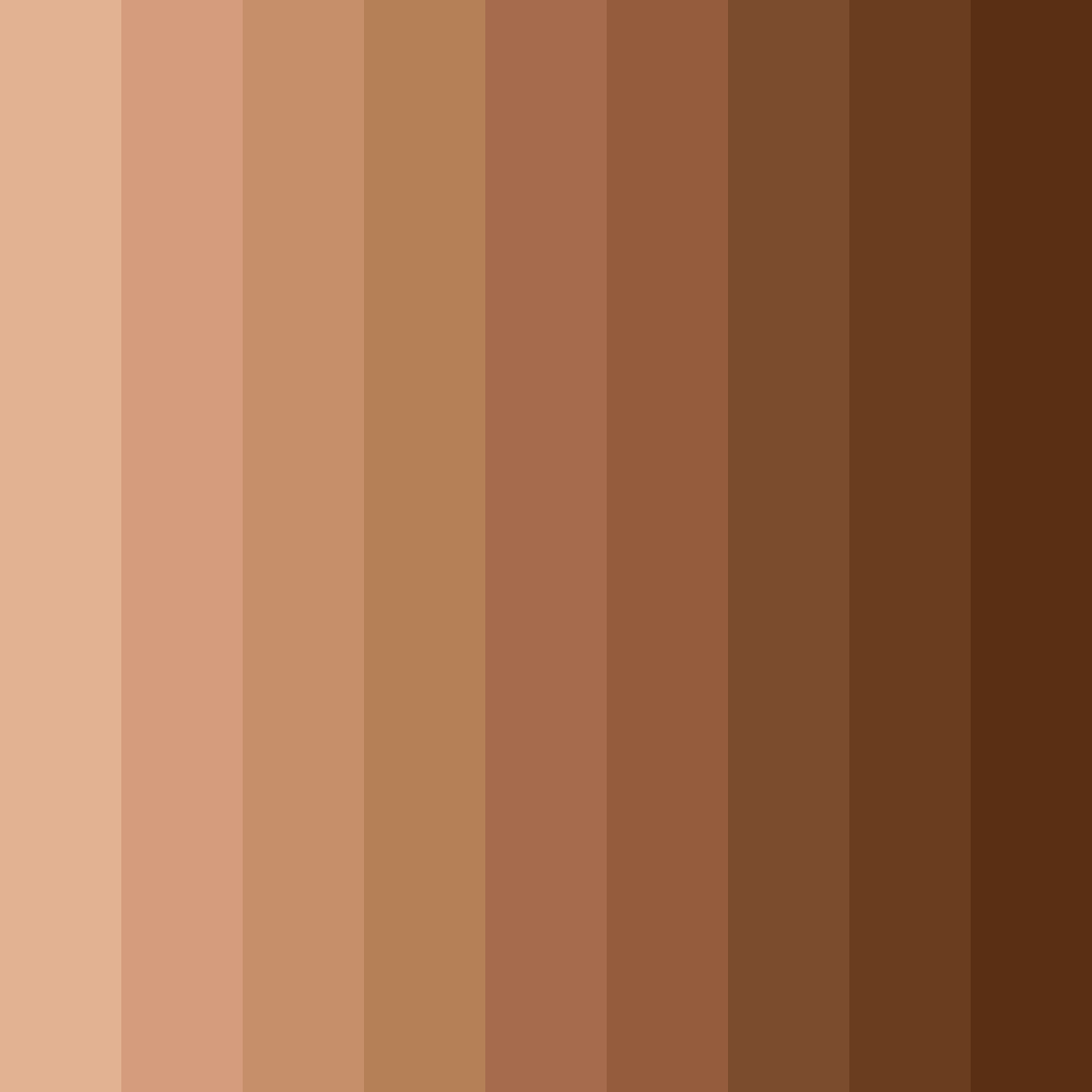 Download light brown rust color palette PNG image (square)