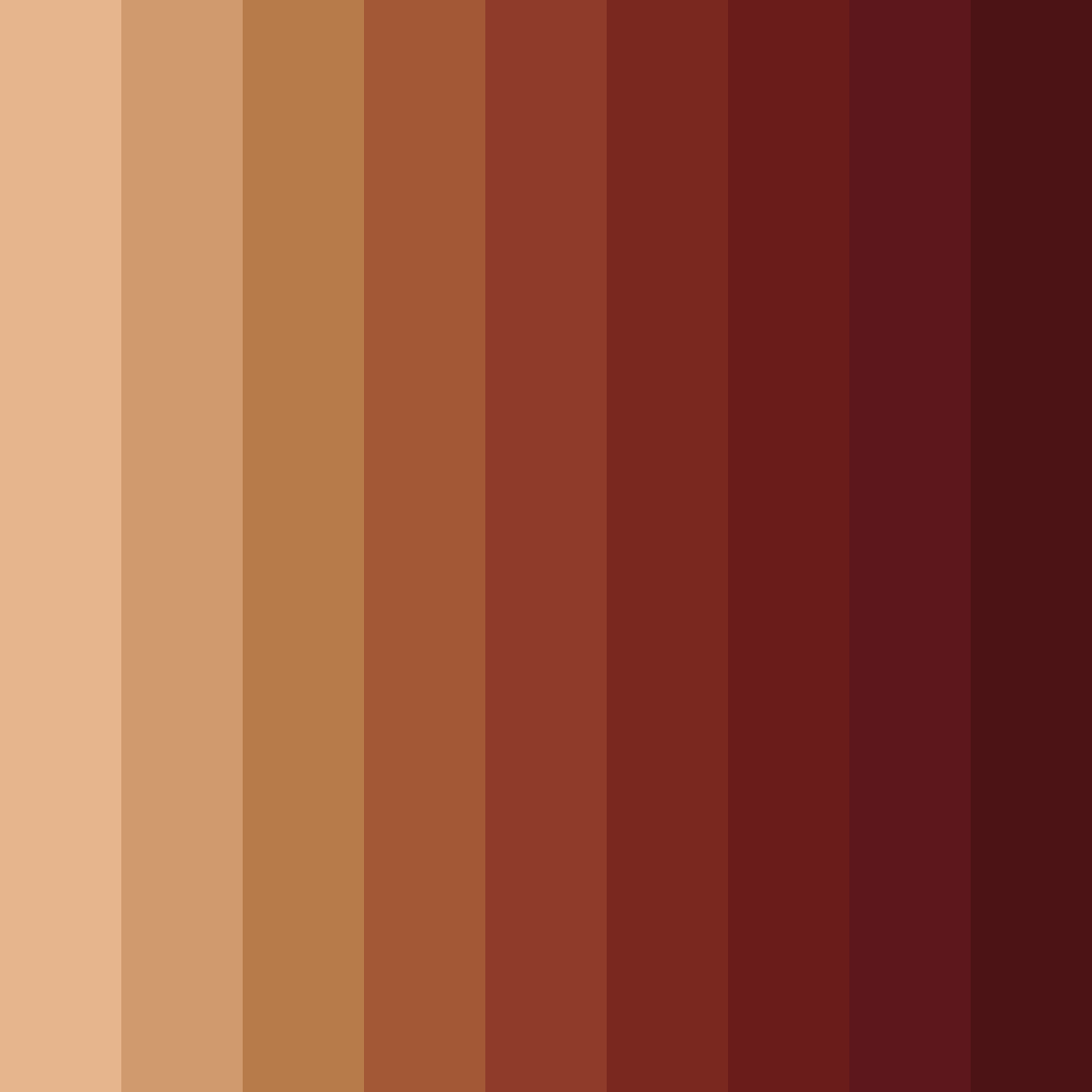 Download rusty brown shades color palette PNG image (square)