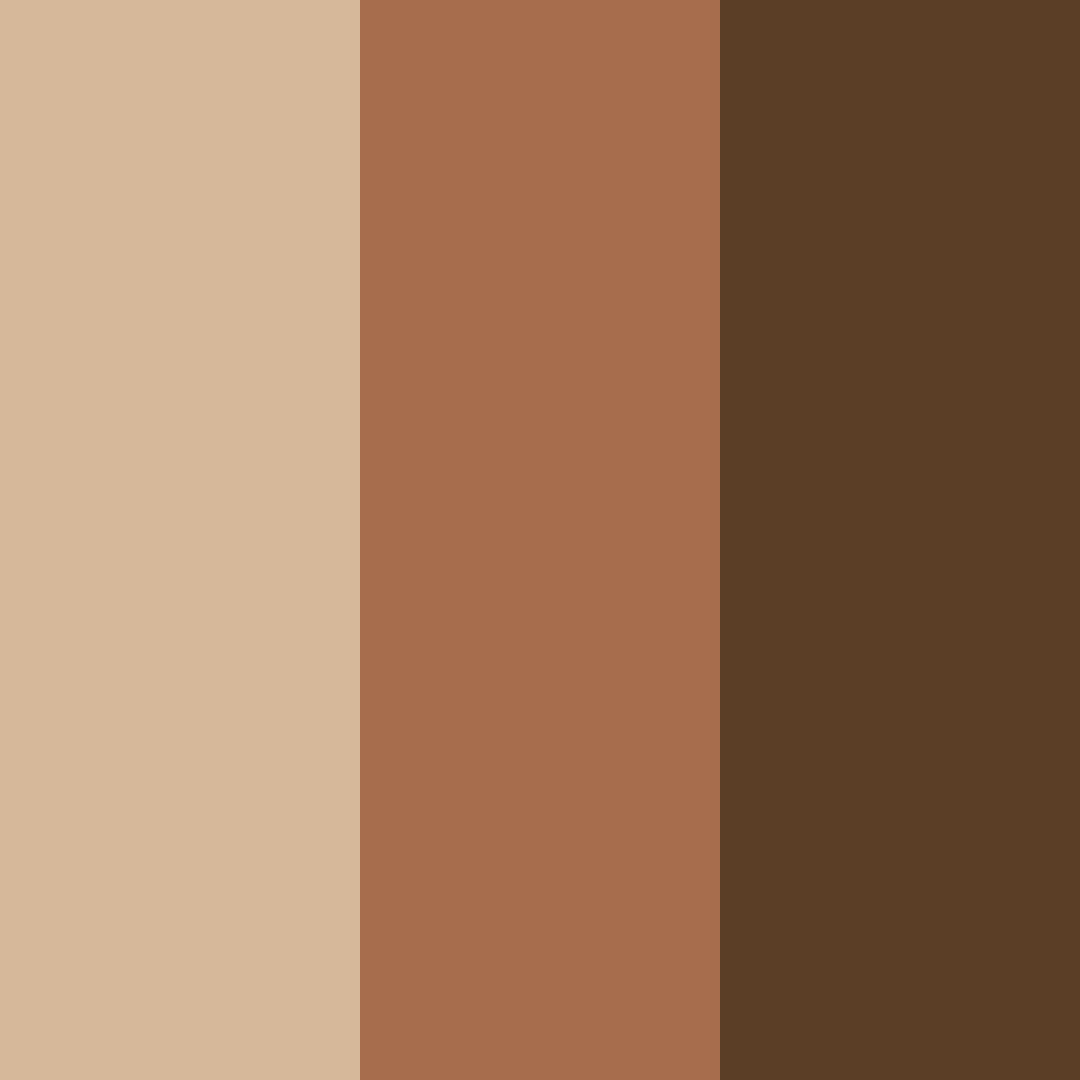 Download earthy elegance color palette PNG image (square)
