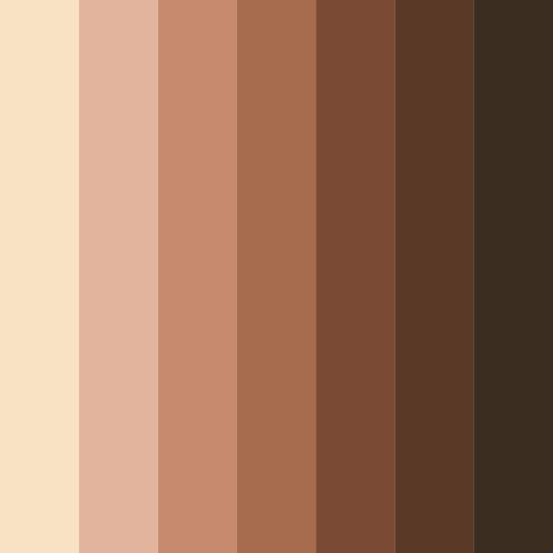 Download brown cookie color palette PNG image (square)