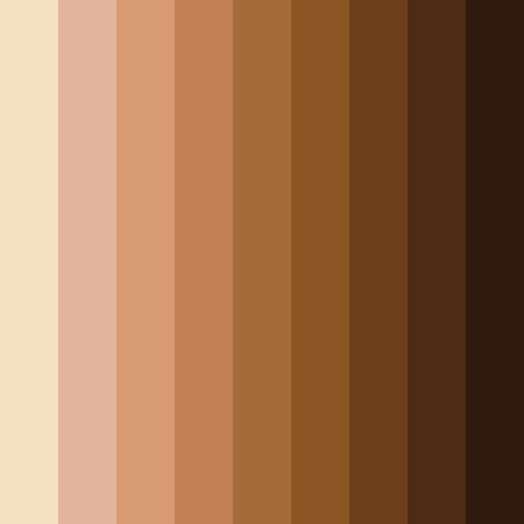 Download earthy brews color palette PNG image (square)