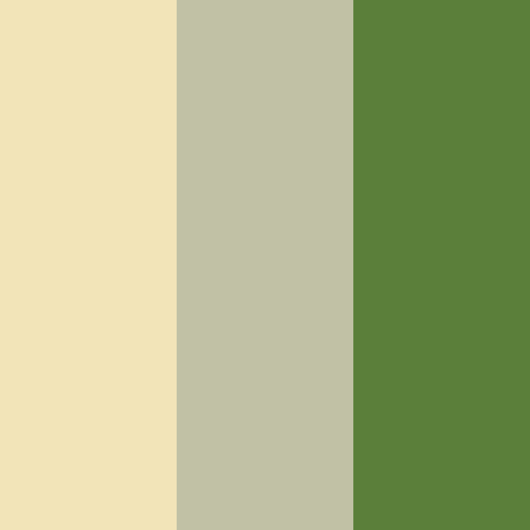 Download honeyed grove color palette PNG image (square)