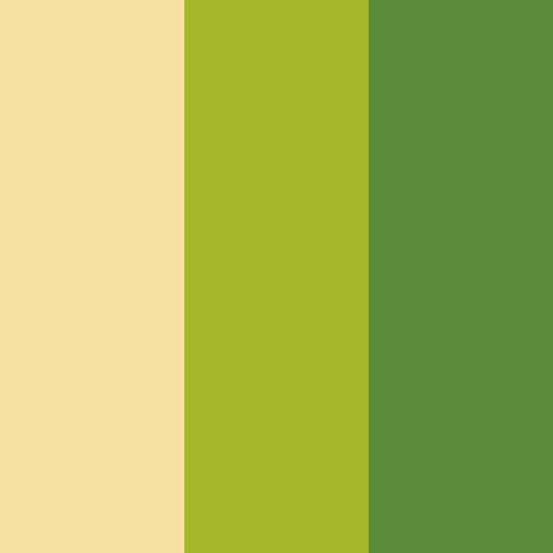 Download creamy green color palette PNG image (square)