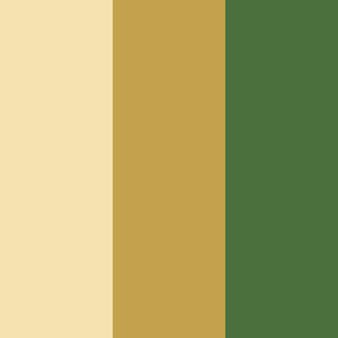 Download honeyed forest whispers color palette PNG image (square)