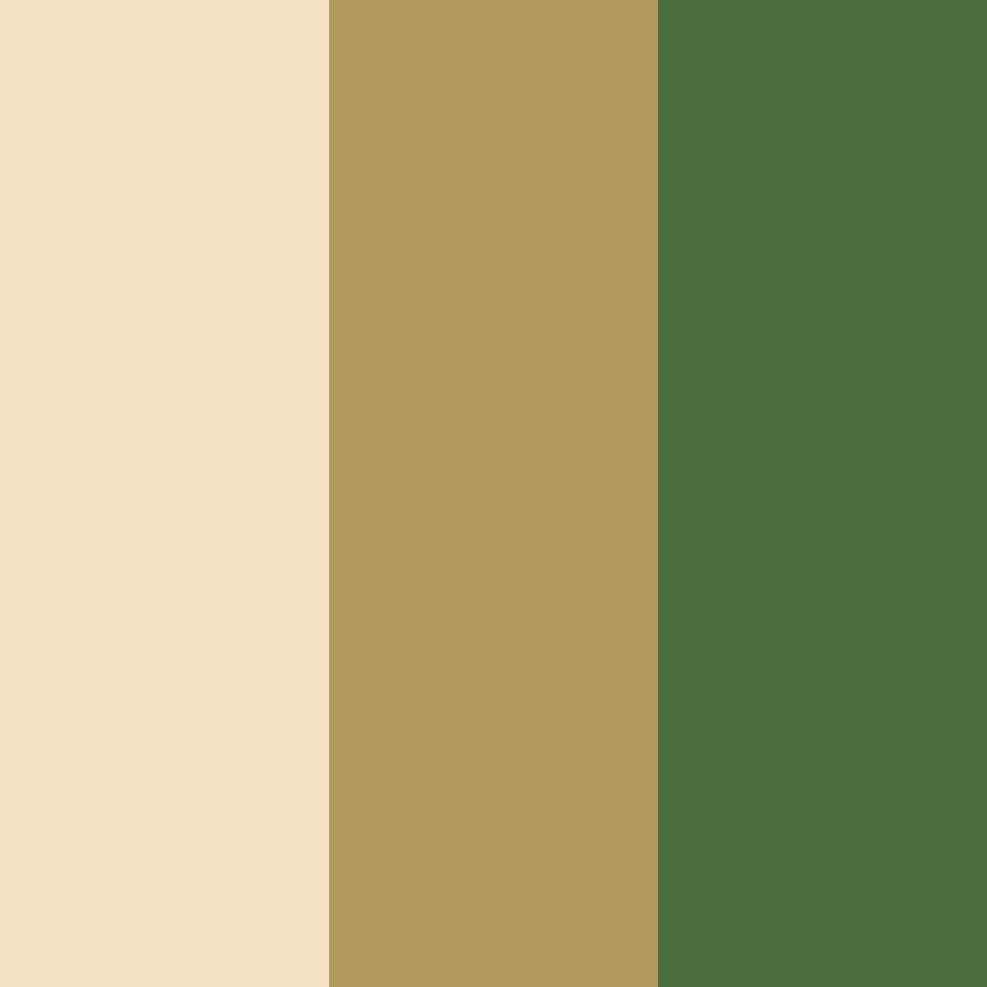 Download honeyed forest whisper color palette PNG image (square)