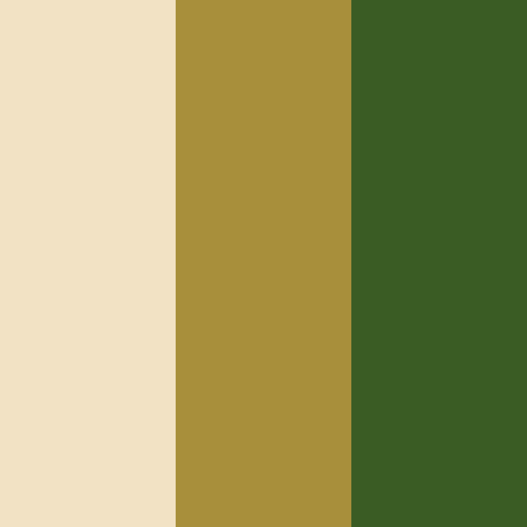 Download honeyed forest cream color palette PNG image (square)