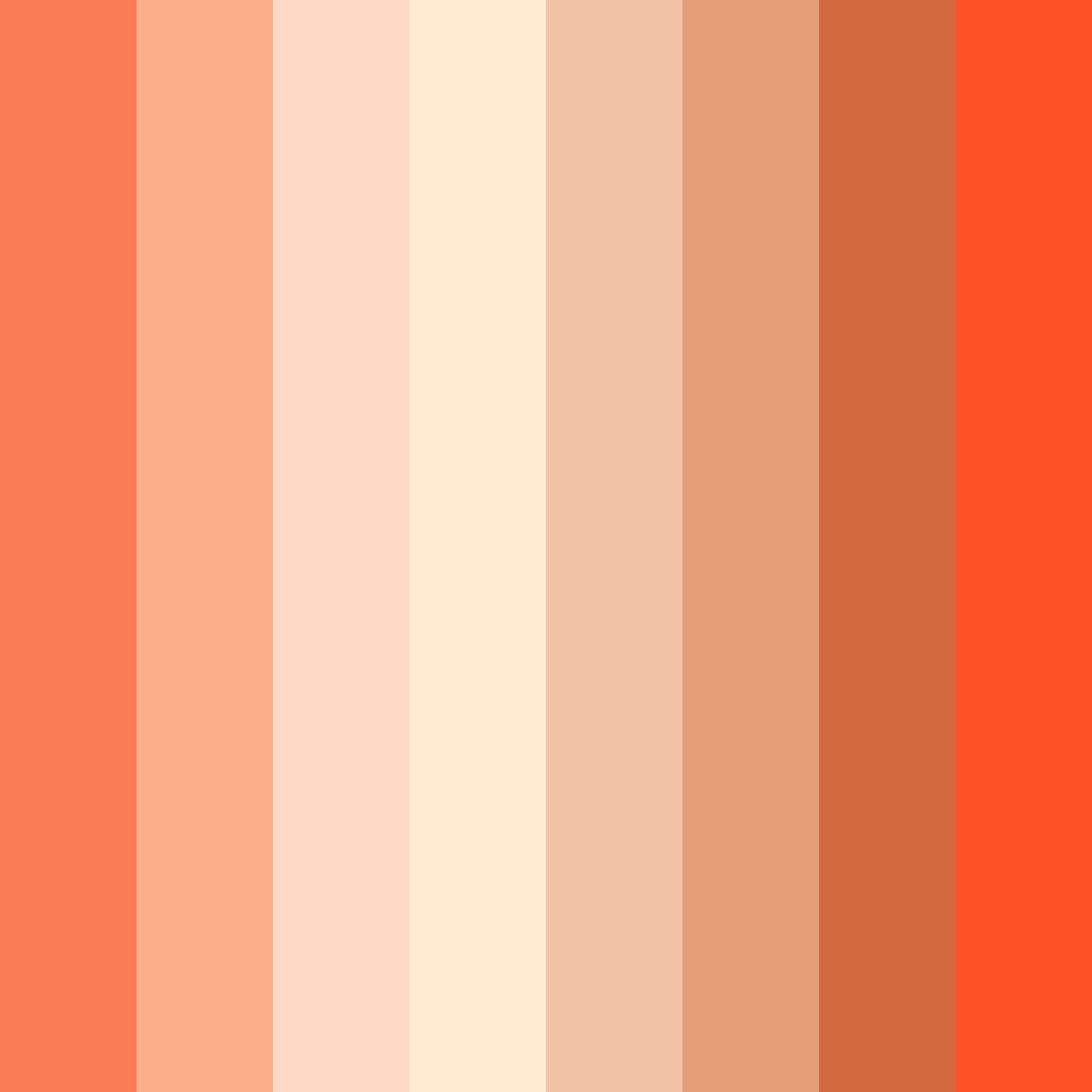 Download coral sunset color palette PNG image (square)