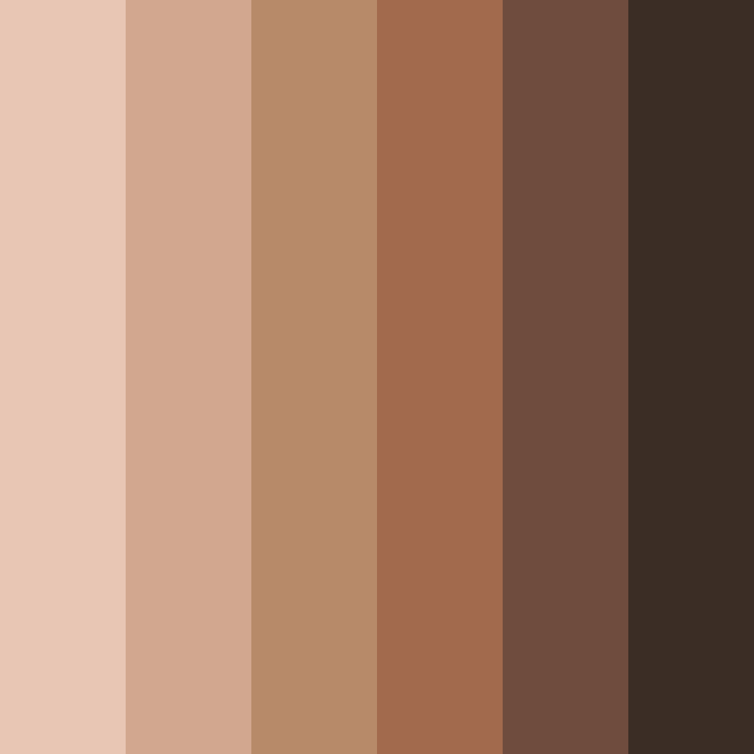 Download brown chocolate color palette PNG image (square)