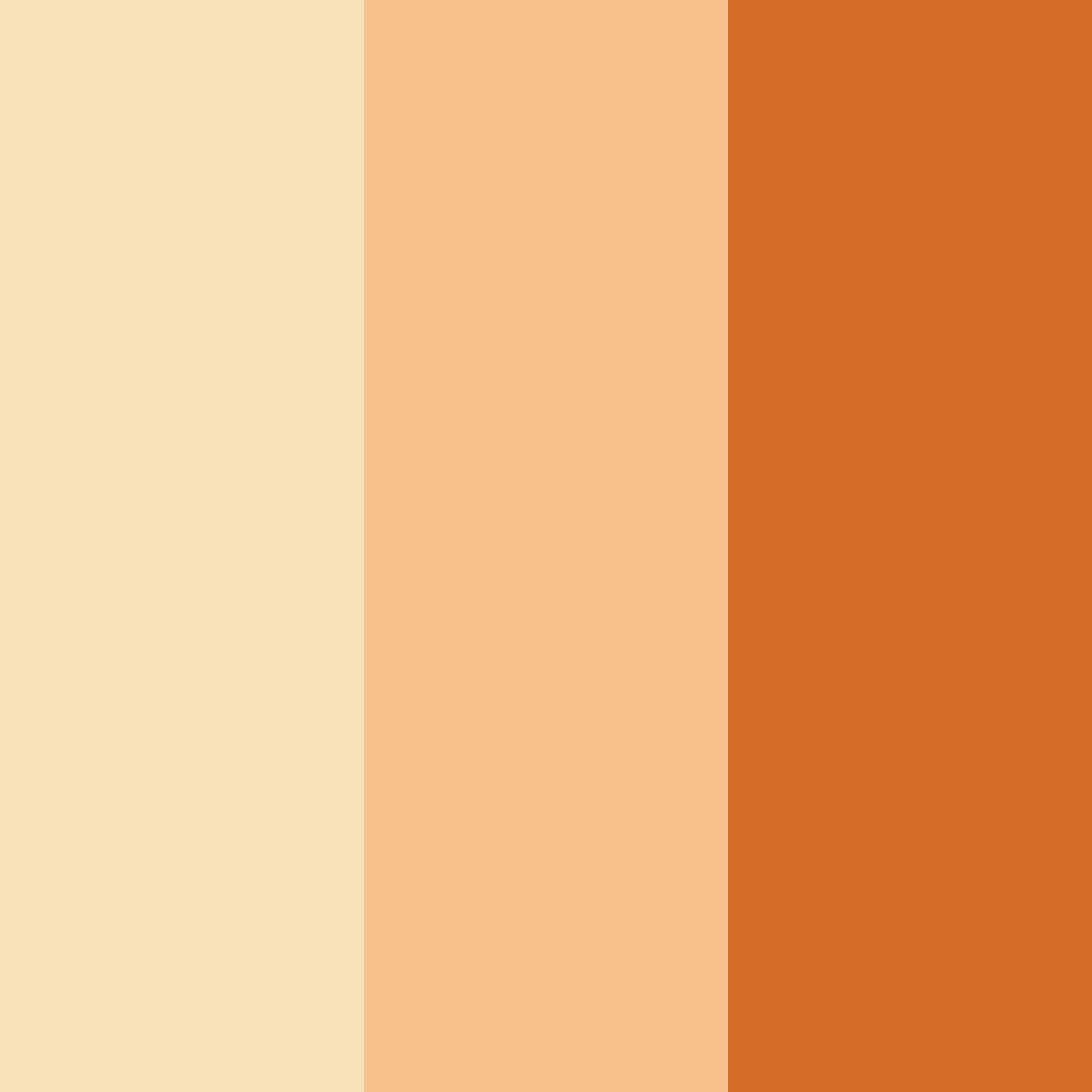 Download orange delight color palette PNG image (square)