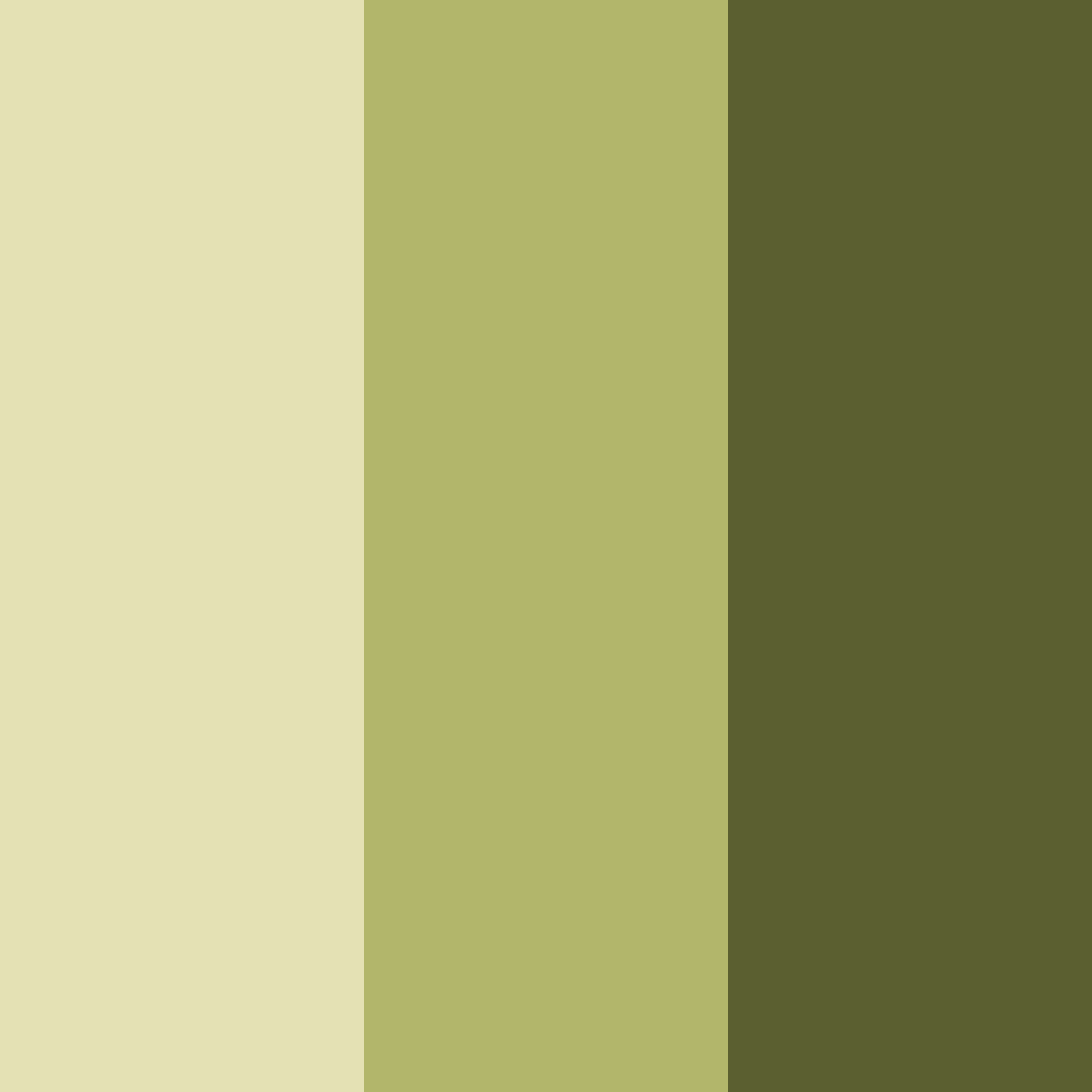 Download olive grove harmony color palette PNG image (square)