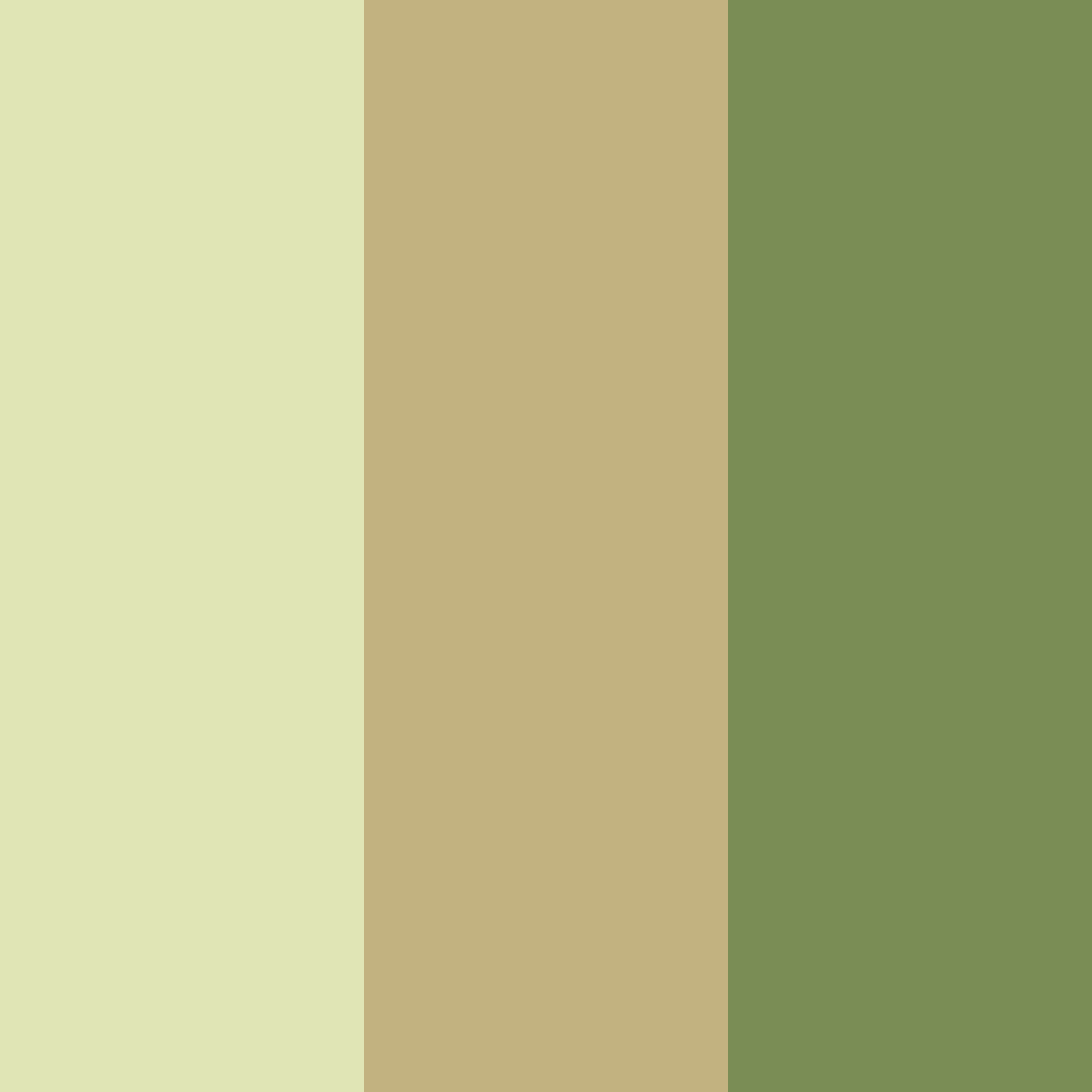 Download warm green and soft ochre color palette PNG image (square)