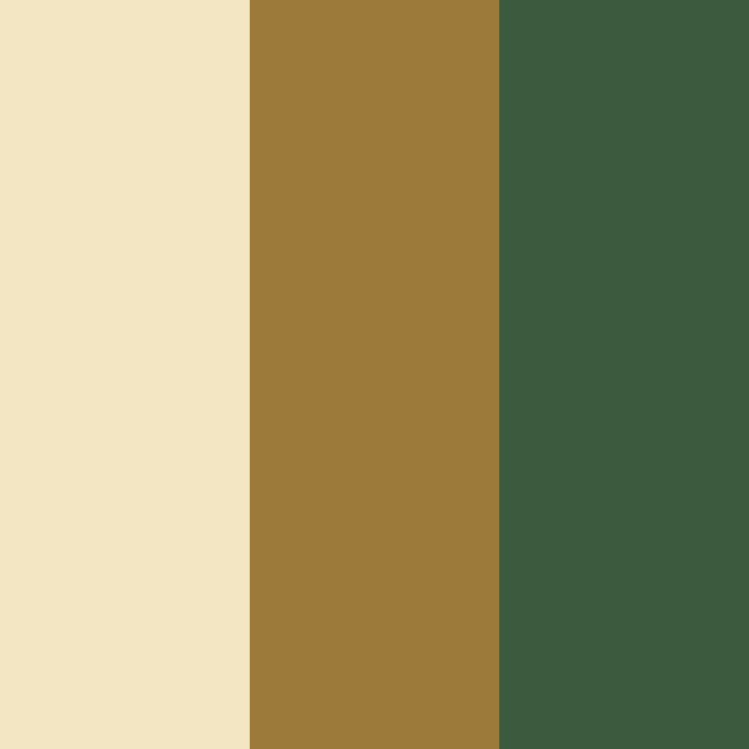 Download honeyed forest whisper color palette PNG image (square)