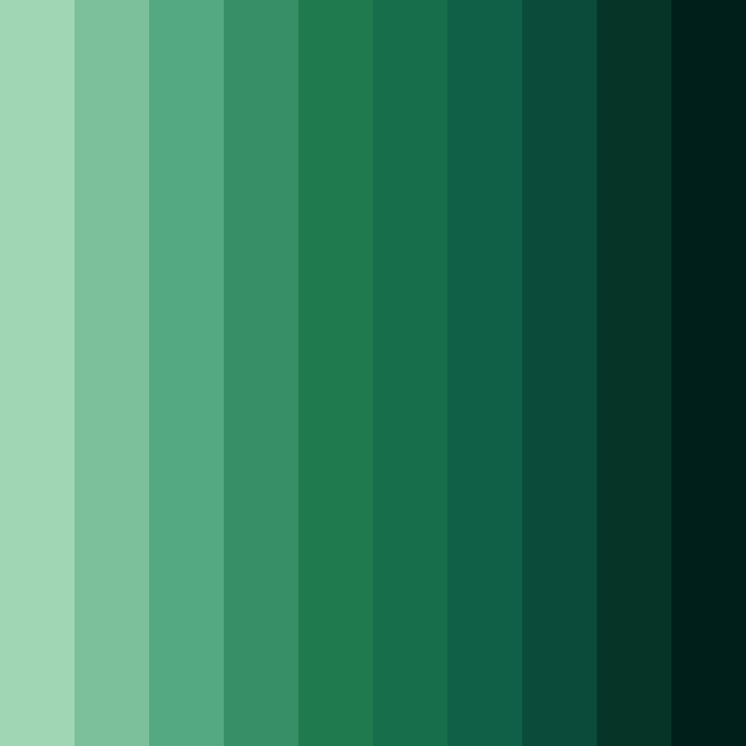 Download emerald shadows color palette PNG image (square)