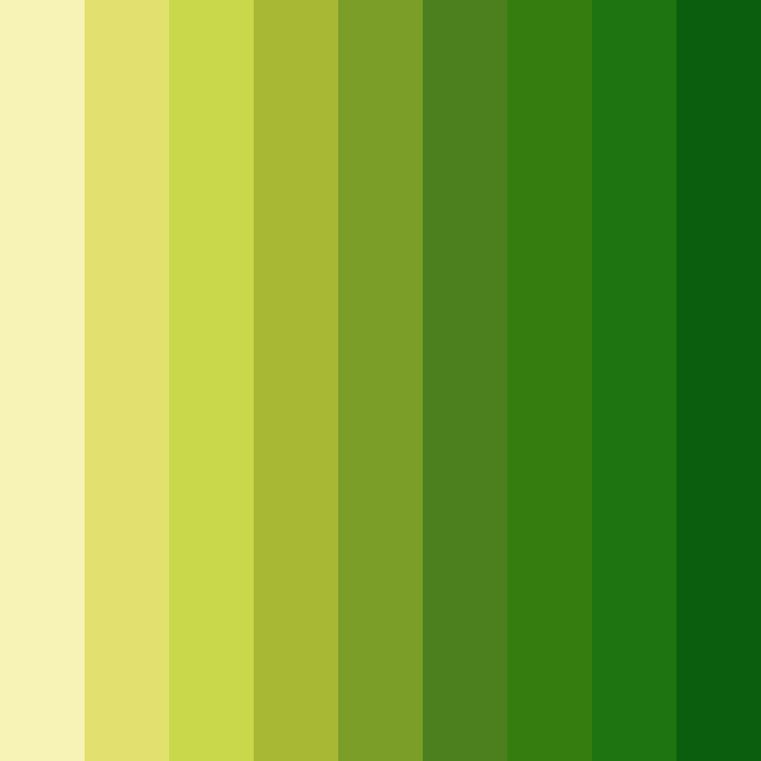 Download lush greenery color palette PNG image (square)