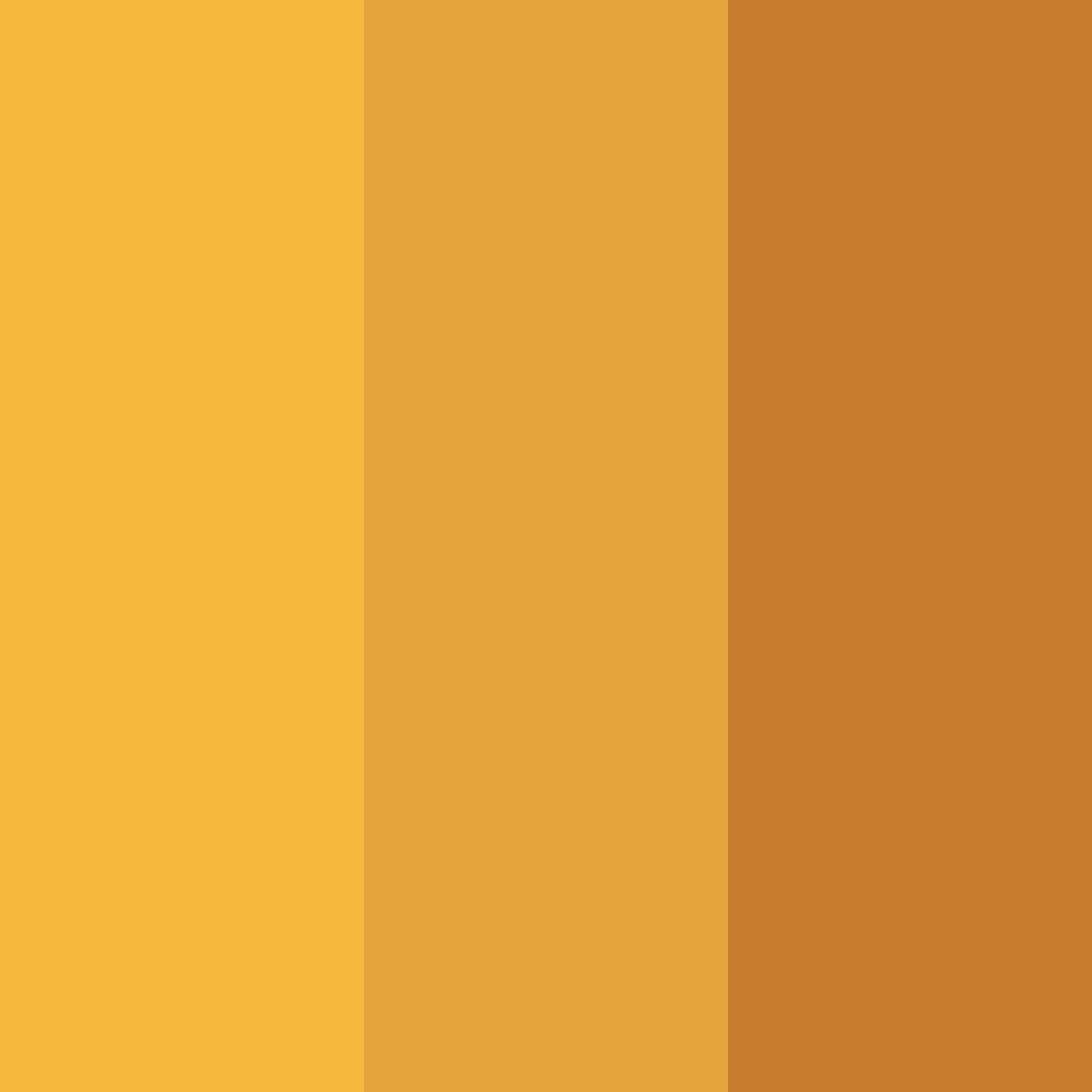 Download orange shades color palette PNG image (square)