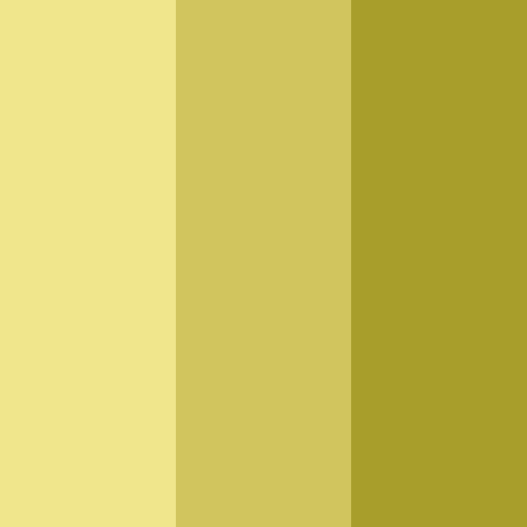Download sunny harmony color palette PNG image (square)