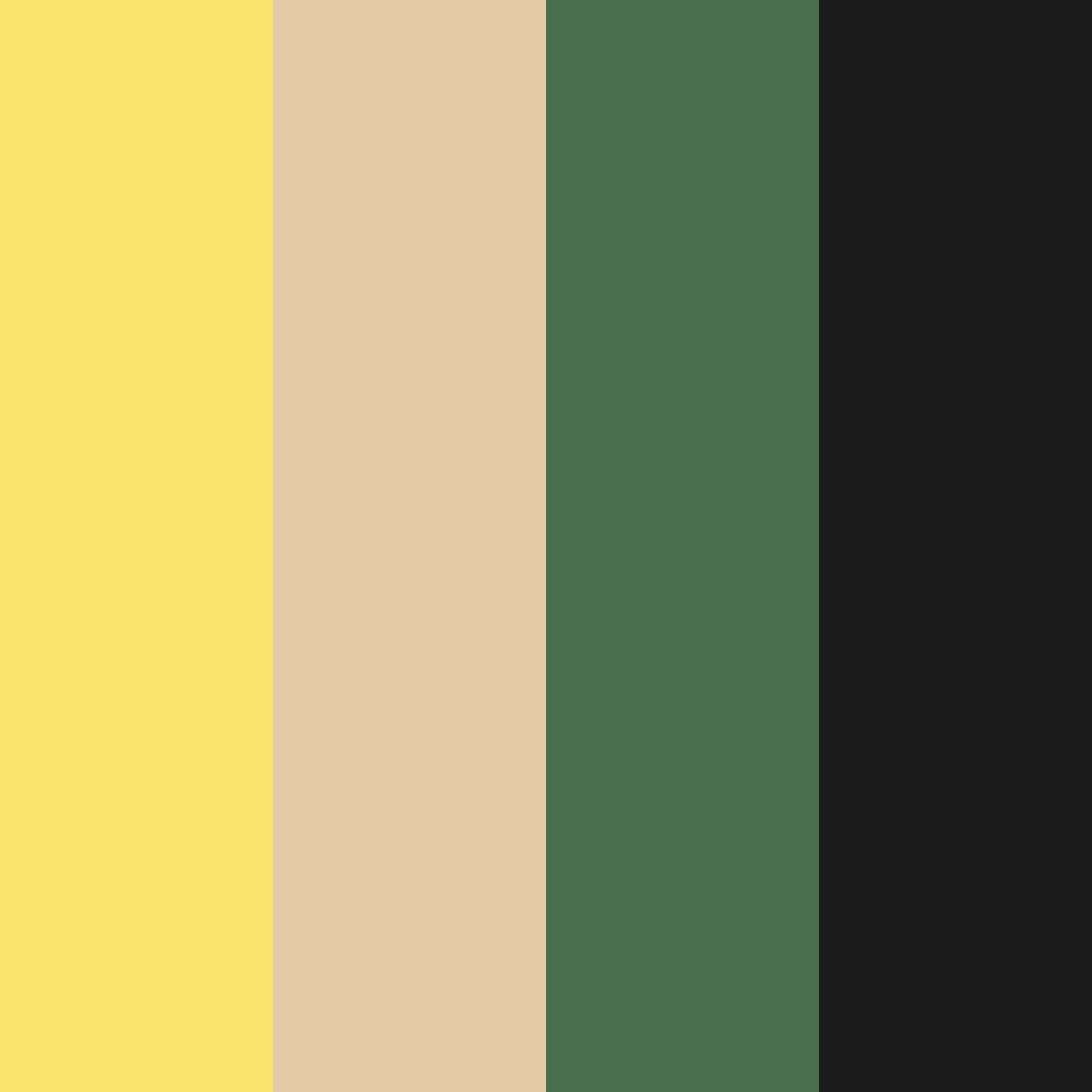 Download citrus grove serenity color palette PNG image (square)