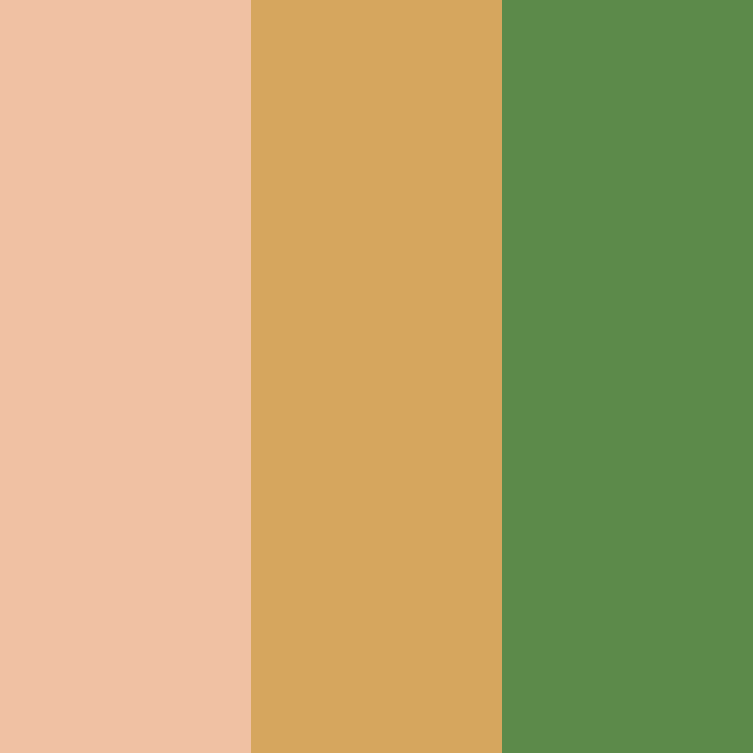 Download peachy amber green color palette PNG image (square)