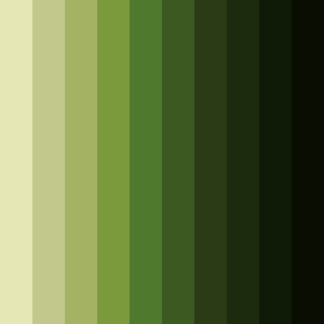 Download enchanted forest shadows color palette PNG image (square)