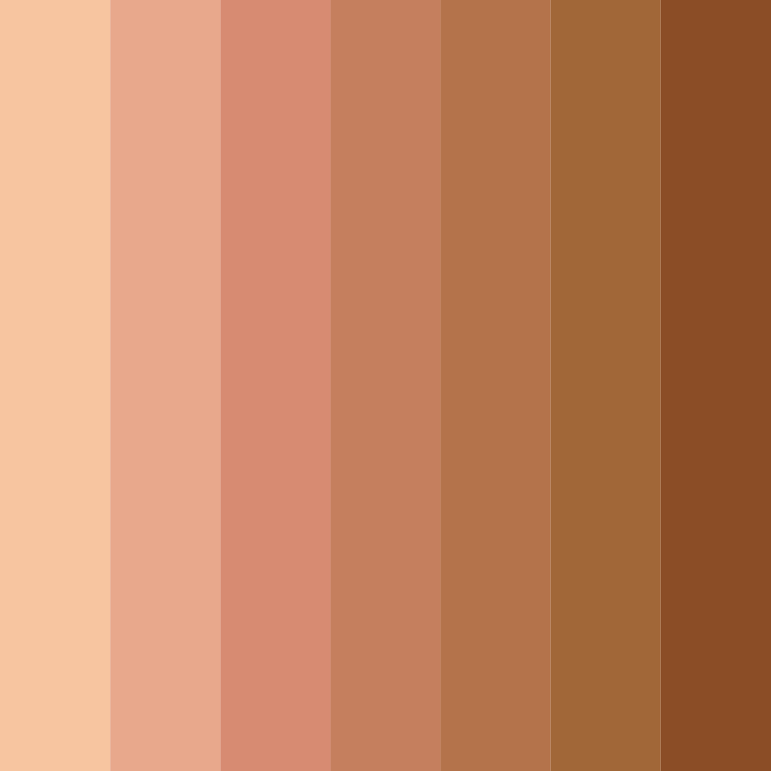 Download muted orange color palette PNG image (square)