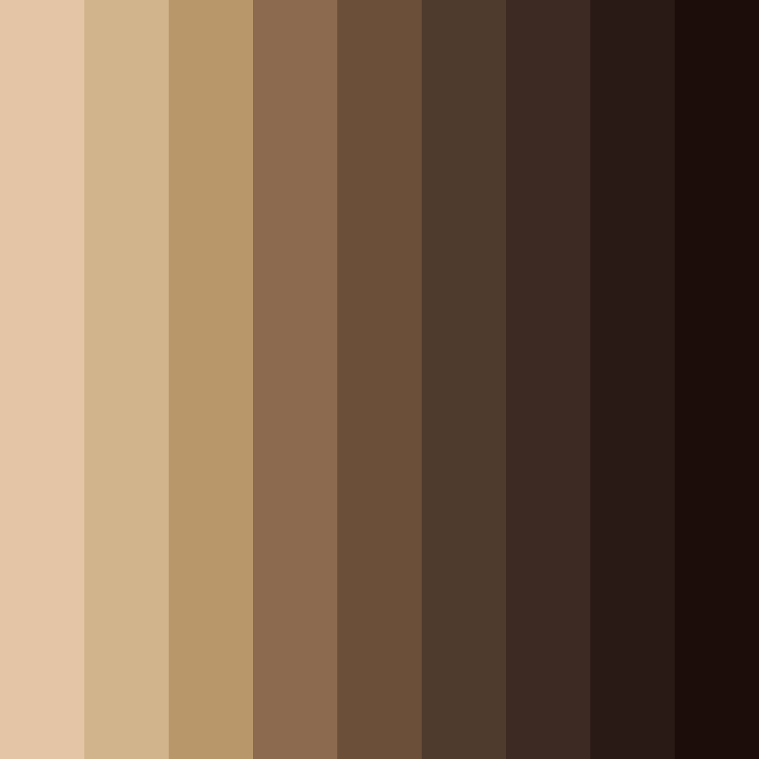 Download earthy brown shadows color palette PNG image (square)
