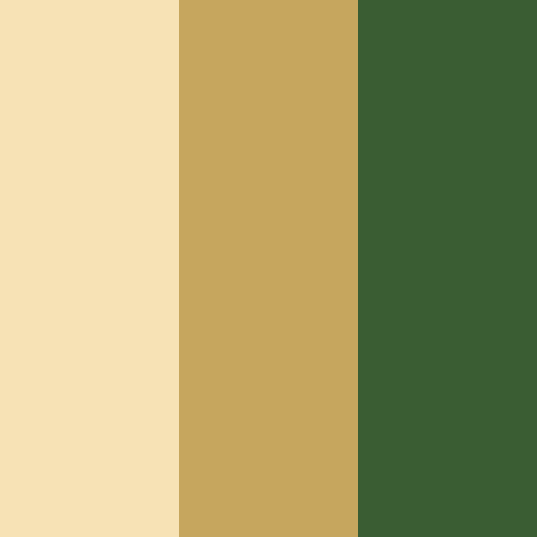 Download golden green color palette PNG image (square)