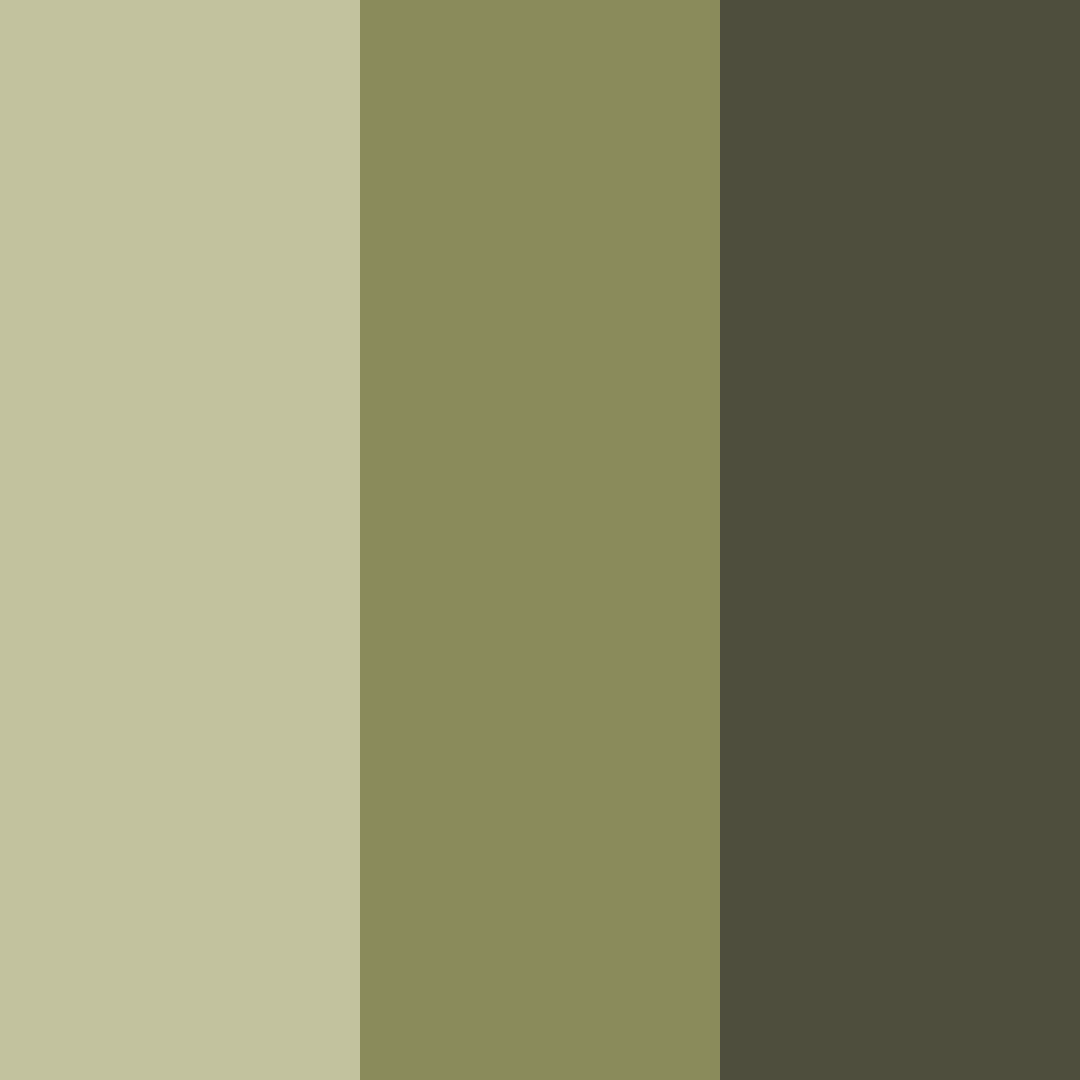 Download olive charcoal color palette PNG image (square)