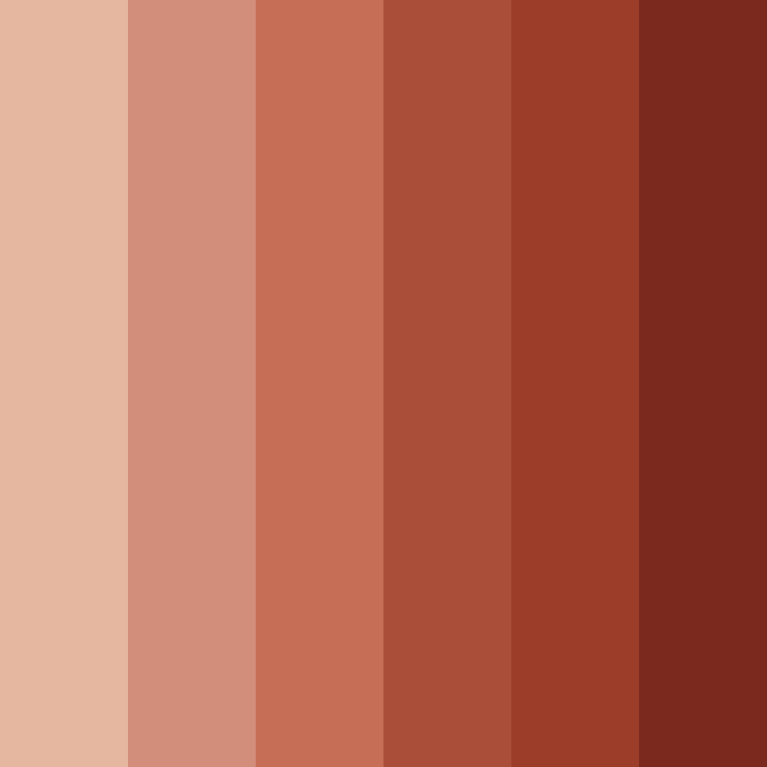 Download terracotta sunset color palette PNG image (square)
