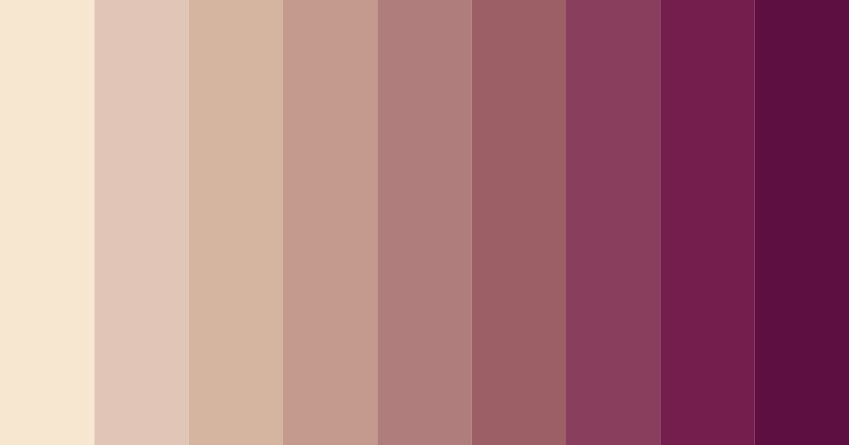 Download espresso embrace color palette PNG image (landscape)