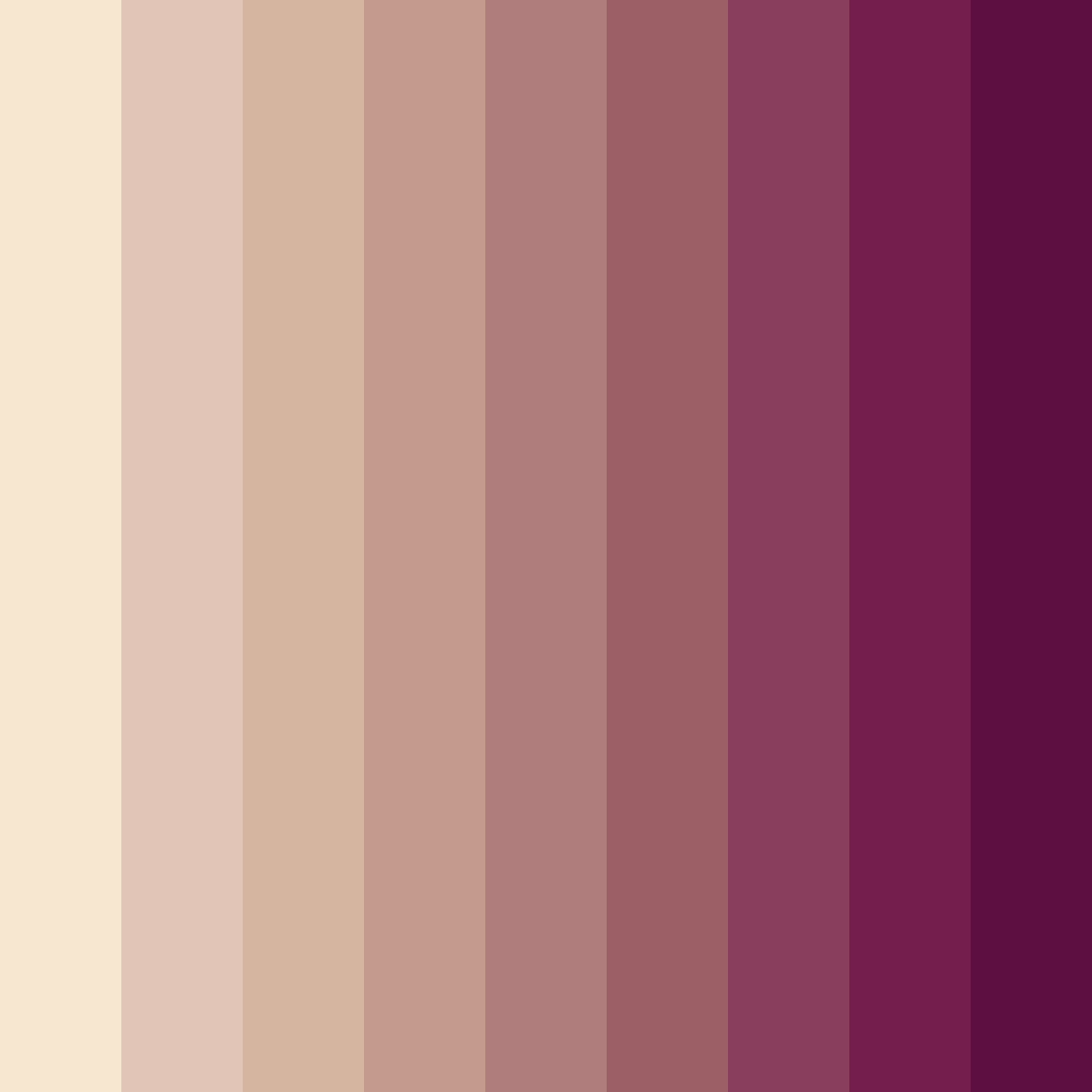 Download espresso embrace color palette PNG image (square)