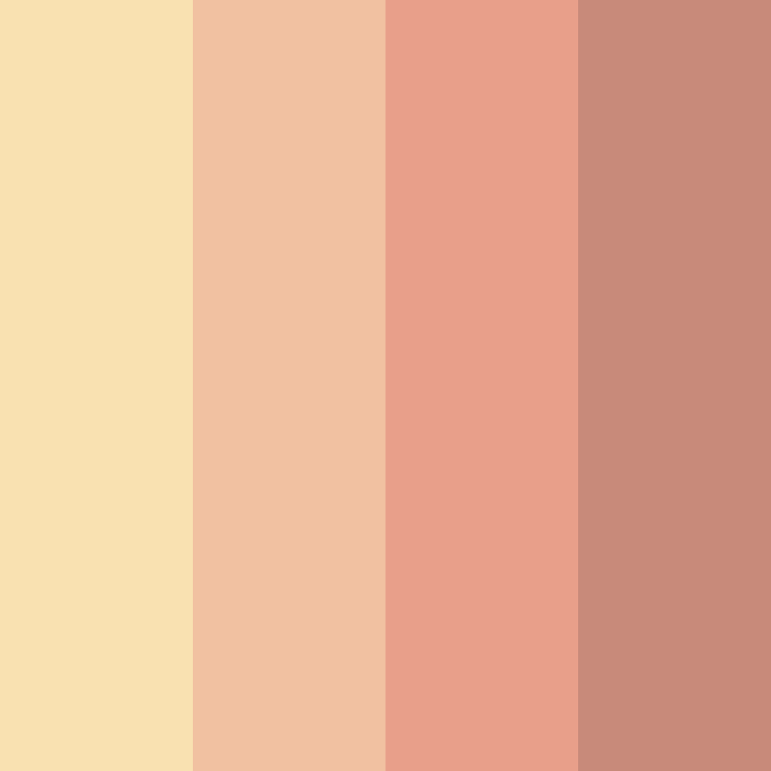 Download peachy warmth color palette PNG image (square)