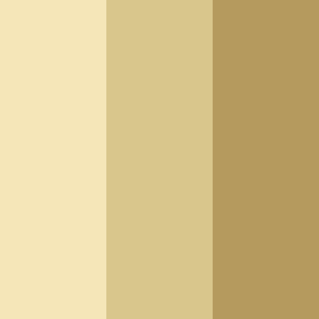 Download sunkissed dunes color palette PNG image (square)