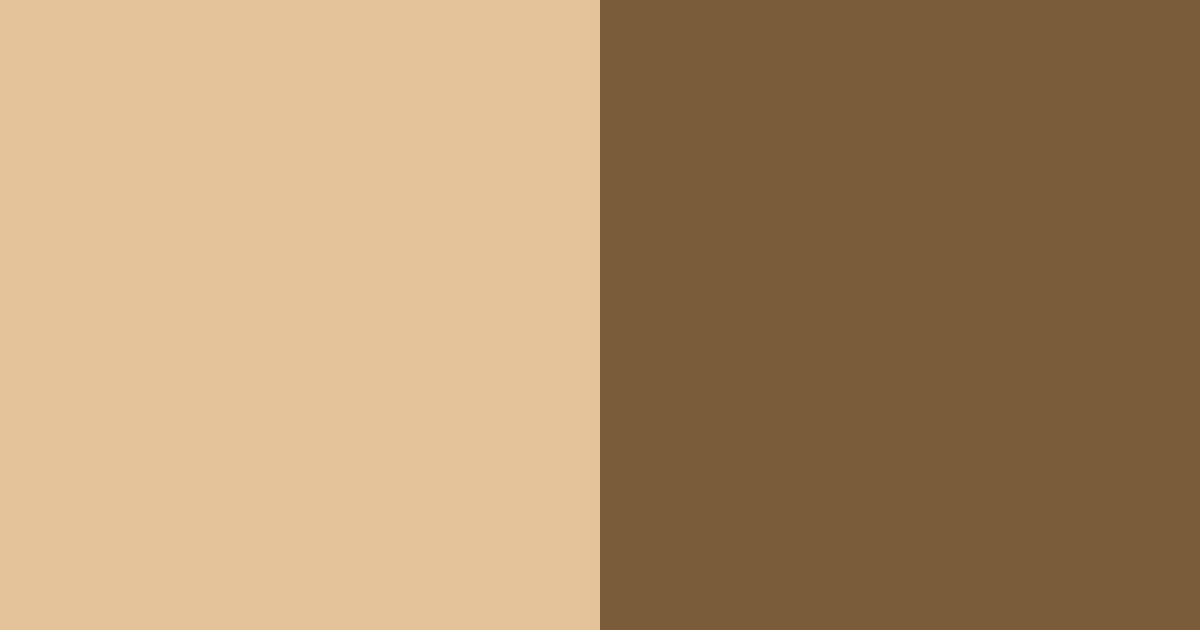 Download honey brown grey color palette PNG image (landscape)