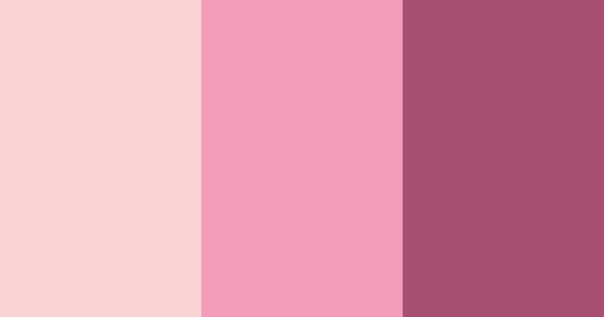 Download rose shades color palette PNG image (landscape)