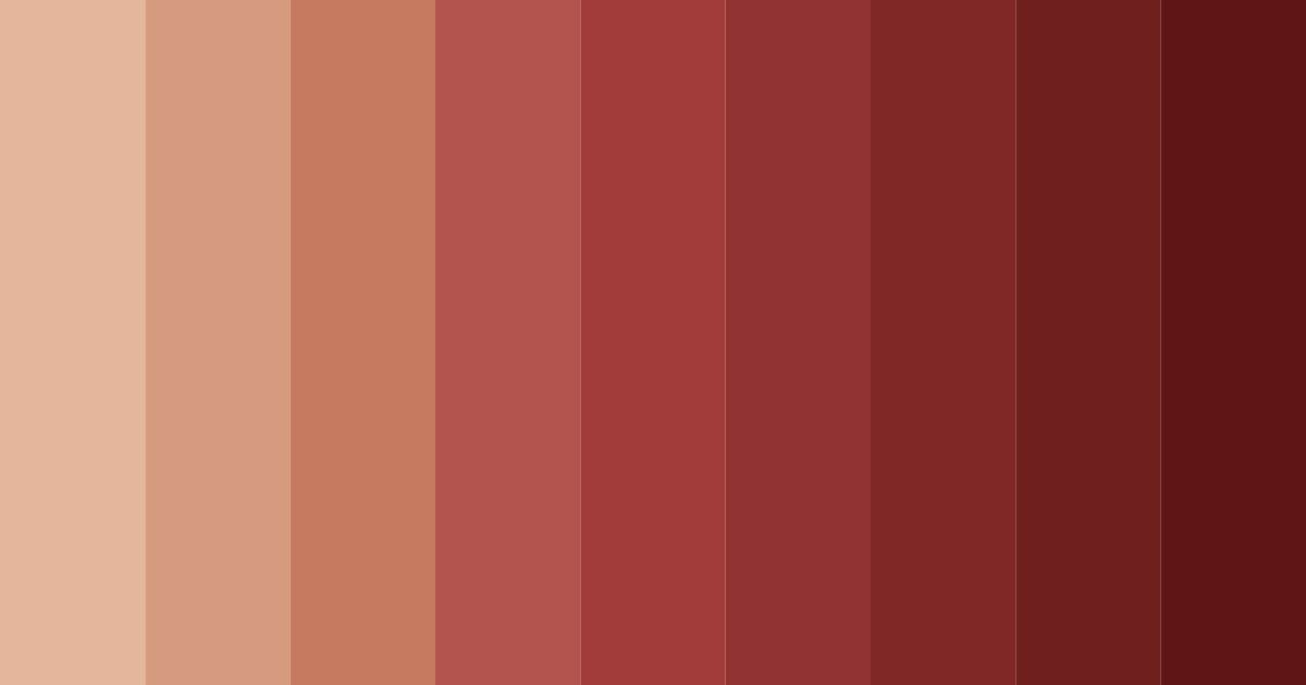 Download terracotta shades color palette PNG image (landscape)