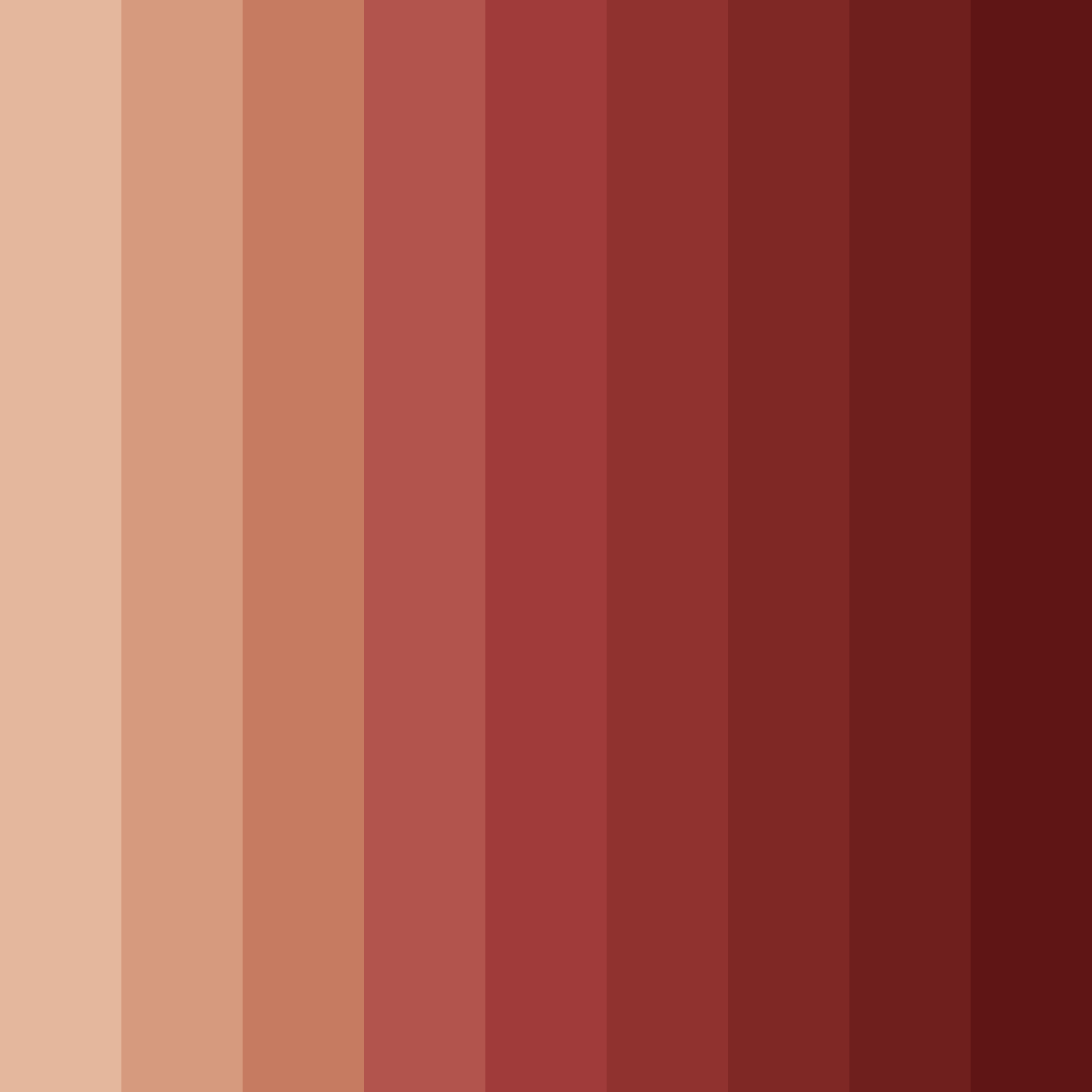 Download terracotta shades color palette PNG image (square)