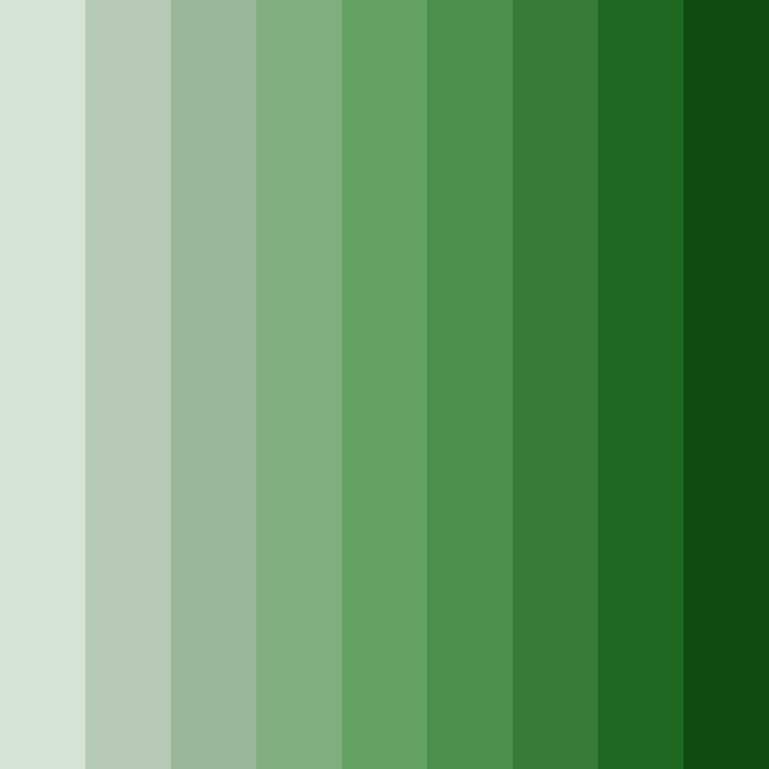 Download whispering forest color palette PNG image (square)