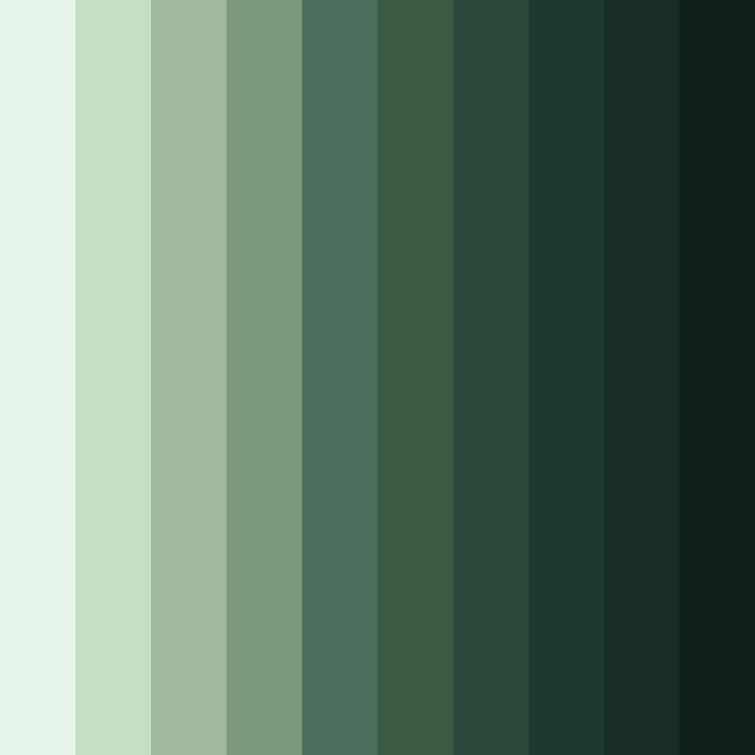 Download verdant vineyard color palette PNG image (square)