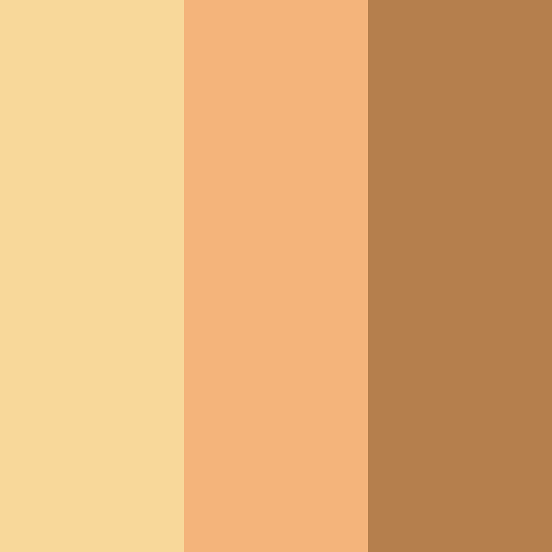 Download honeyed peach mist color palette PNG image (square)