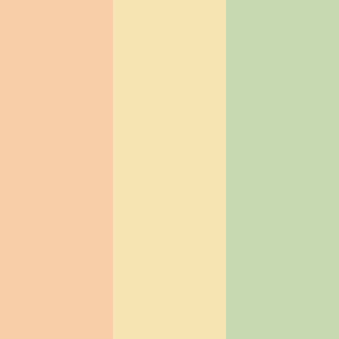 Download peachy green color palette PNG image (square)