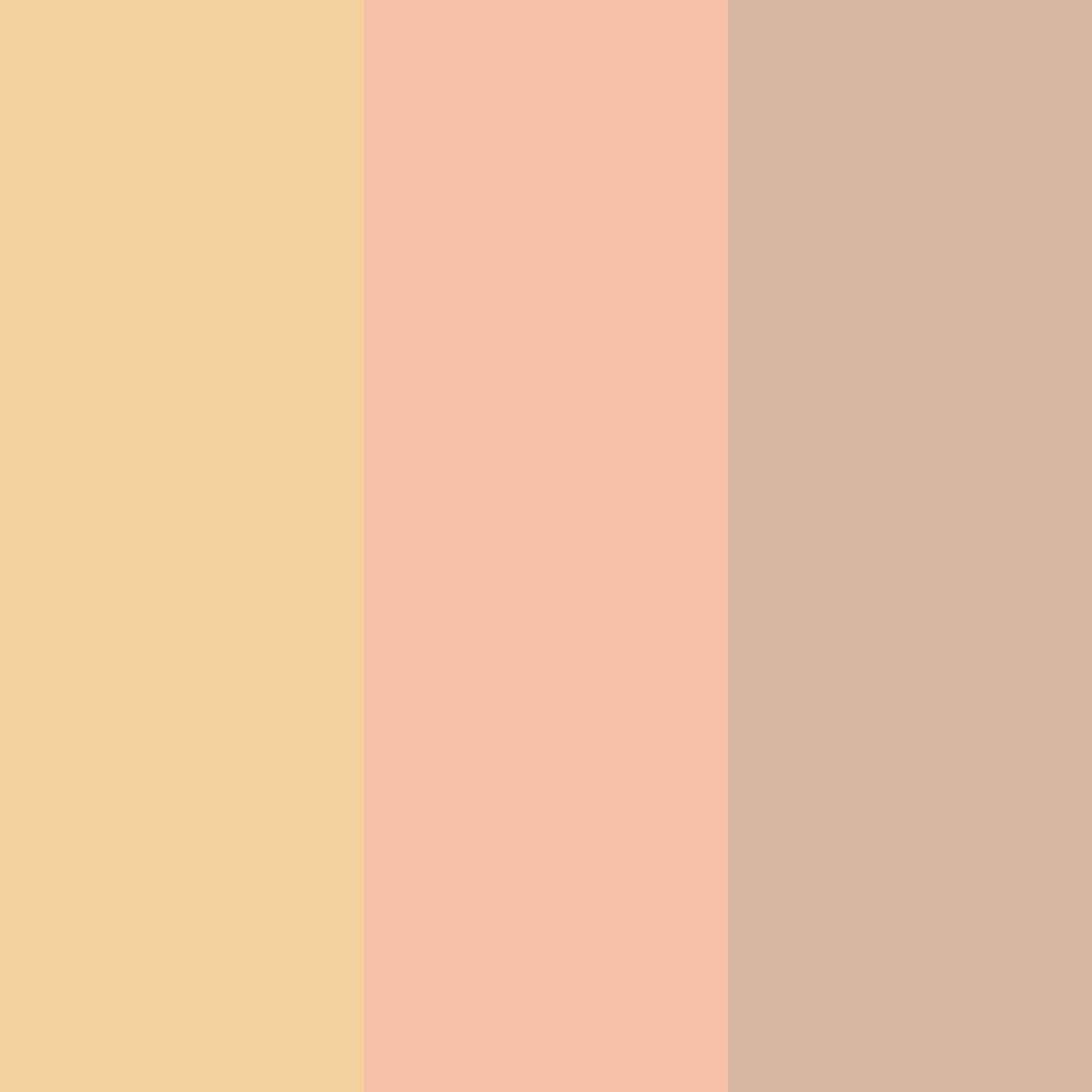 Download peachy green color palette PNG image (square)