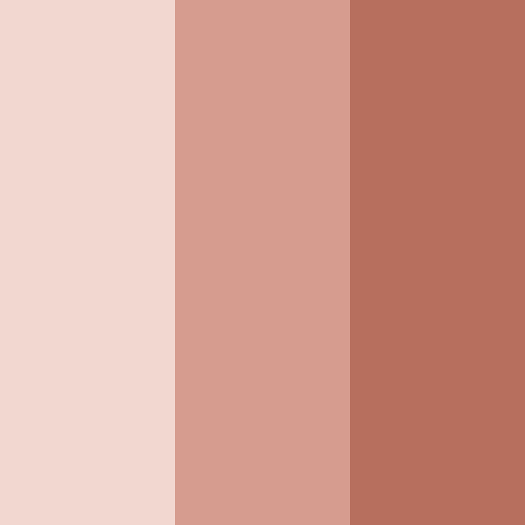 Download peachy cinematic color palette PNG image (square)