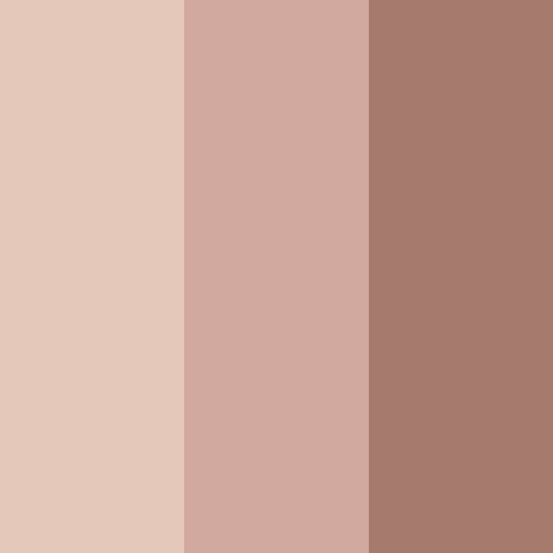 Download dusty beige color palette PNG image (square)